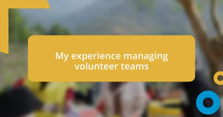 My experience managing volunteer teams