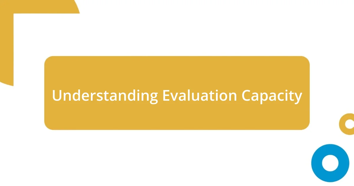 Understanding Evaluation Capacity